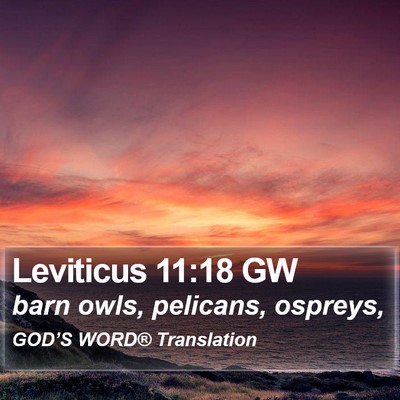Leviticus 11:18 GW Bible Verse Image
