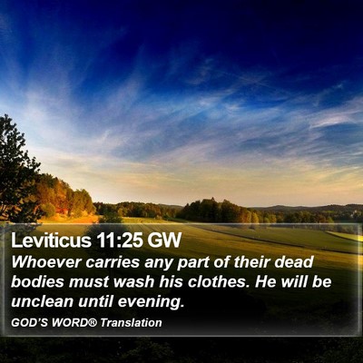 Leviticus 11:25 GW Bible Verse Image