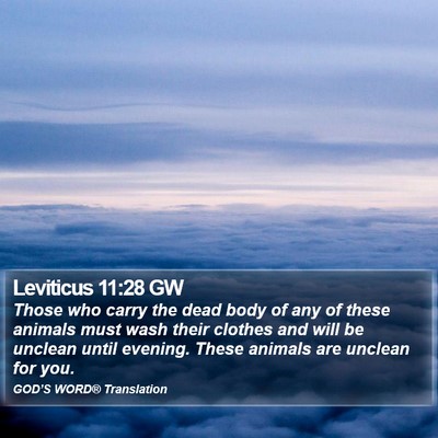 Leviticus 11:28 GW Bible Verse Image