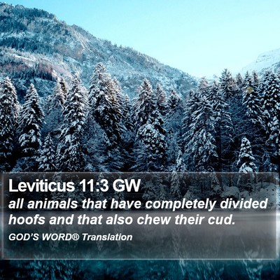 Leviticus 11:3 GW Bible Verse Image