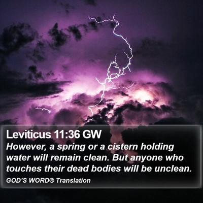 Leviticus 11:36 GW Bible Verse Image