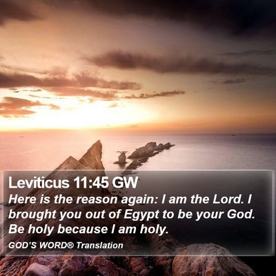 Leviticus 11:45 GW Bible Verse Image