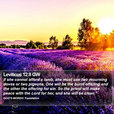 Leviticus 12:8 GW Bible Verse Image