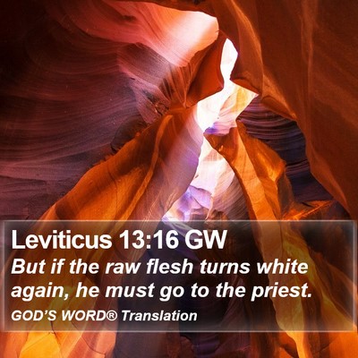 Leviticus 13:16 GW Bible Verse Image