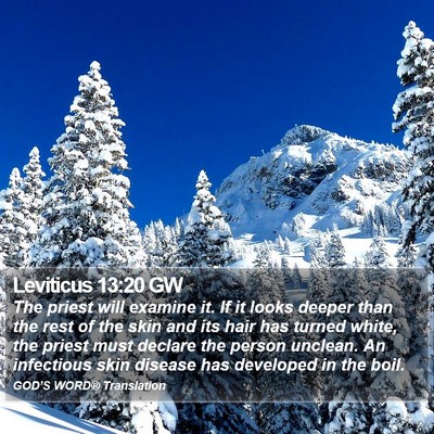 Leviticus 13:20 GW Bible Verse Image