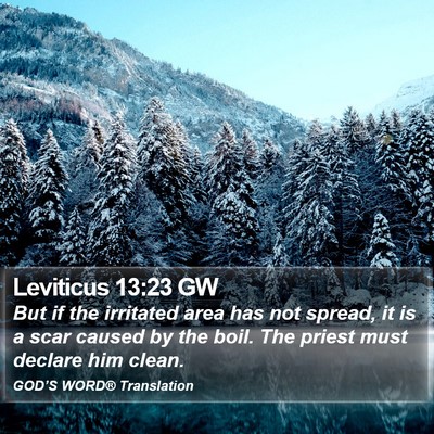Leviticus 13:23 GW Bible Verse Image