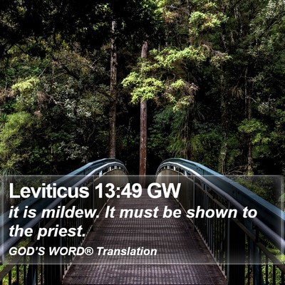 Leviticus 13:49 GW Bible Verse Image