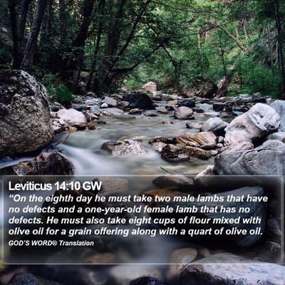Leviticus 14:10 GW Bible Verse Image