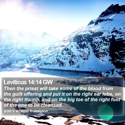 Leviticus 14:14 GW Bible Verse Image