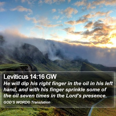Leviticus 14:16 GW Bible Verse Image
