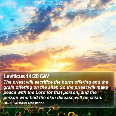 Leviticus 14:20 GW Bible Verse Image