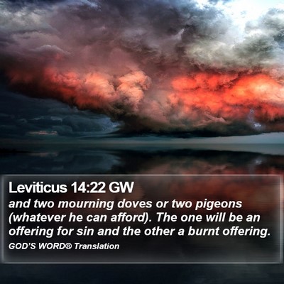 Leviticus 14:22 GW Bible Verse Image