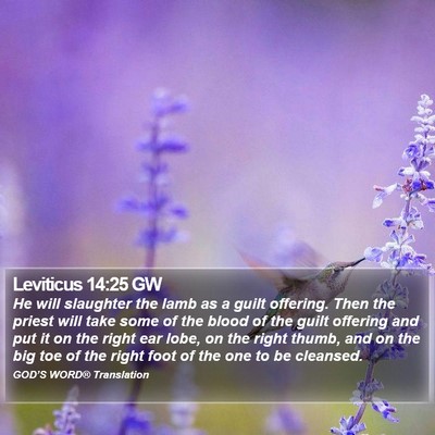 Leviticus 14:25 GW Bible Verse Image