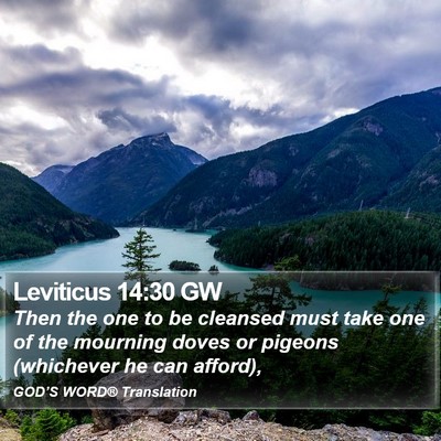 Leviticus 14:30 GW Bible Verse Image