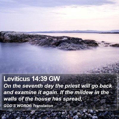 Leviticus 14:39 GW Bible Verse Image