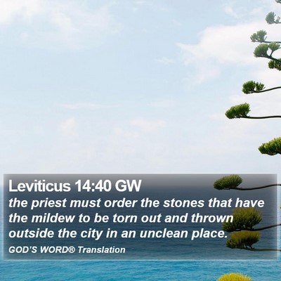 Leviticus 14:40 GW Bible Verse Image
