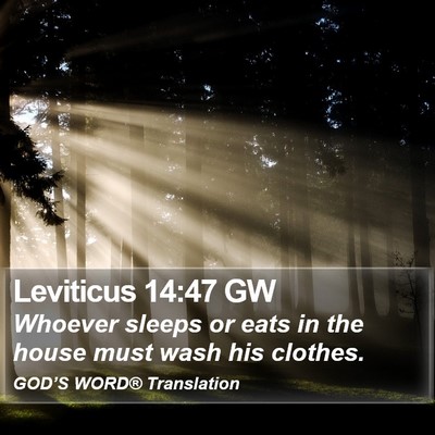 Leviticus 14:47 GW Bible Verse Image