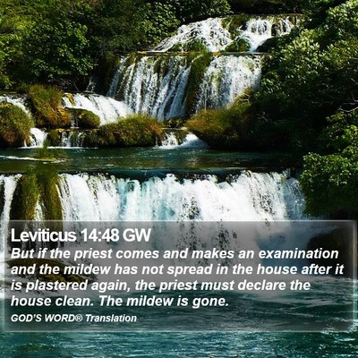 Leviticus 14:48 GW Bible Verse Image