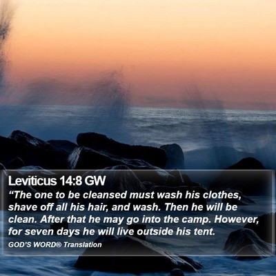 Leviticus 14:8 GW Bible Verse Image