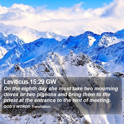 Leviticus 15:29 GW Bible Verse Image