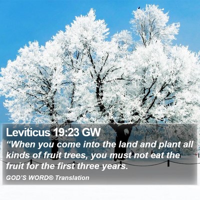 Leviticus 19:23 GW Bible Verse Image