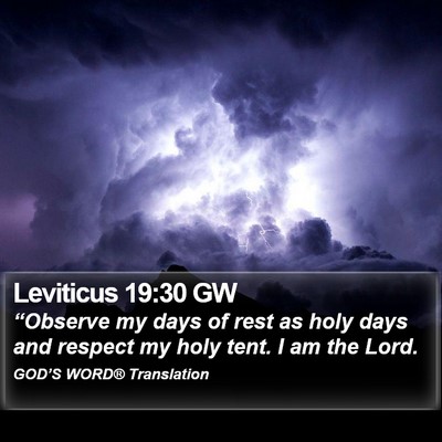 Leviticus 19:30 GW Bible Verse Image