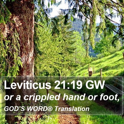 Leviticus 21:19 GW Bible Verse Image