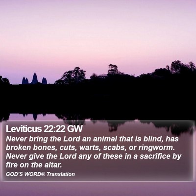 Leviticus 22:22 GW Bible Verse Image