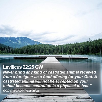 Leviticus 22:25 GW Bible Verse Image