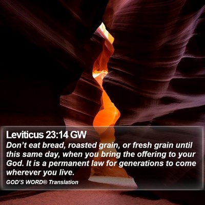 Leviticus 23:14 GW Bible Verse Image