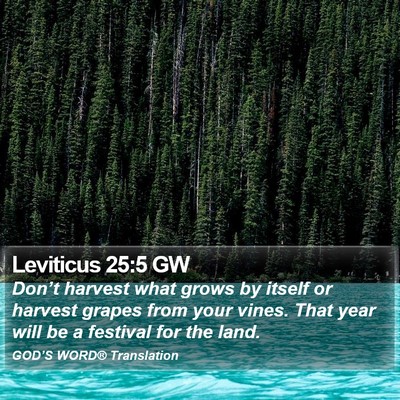 Leviticus 25:5 GW Bible Verse Image