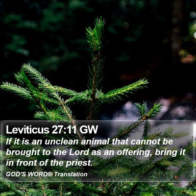 Leviticus 27:11 GW Bible Verse Image