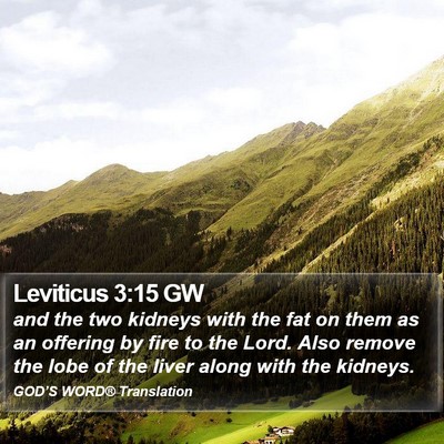 Leviticus 3:15 GW Bible Verse Image