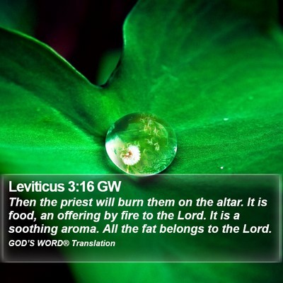 Leviticus 3:16 GW Bible Verse Image