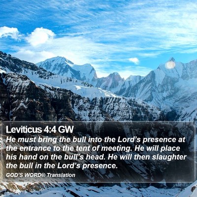 Leviticus 4:4 GW Bible Verse Image