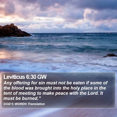 Leviticus 6:30 GW Bible Verse Image