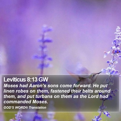 Leviticus 8:13 GW Bible Verse Image