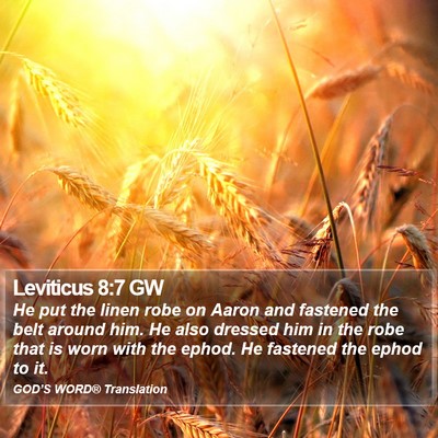 Leviticus 8:7 GW Bible Verse Image