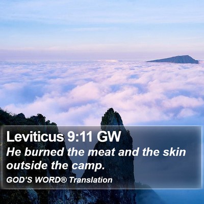 Leviticus 9:11 GW Bible Verse Image