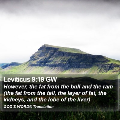 Leviticus 9:19 GW Bible Verse Image