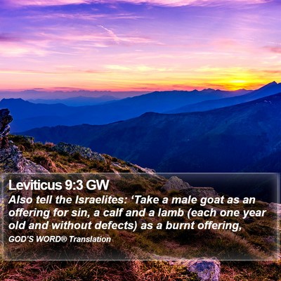 Leviticus 9:3 GW Bible Verse Image