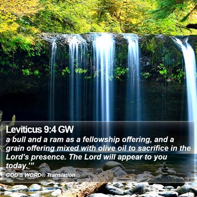 Leviticus 9:4 GW Bible Verse Image
