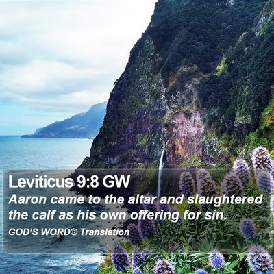 Leviticus 9:8 GW Bible Verse Image