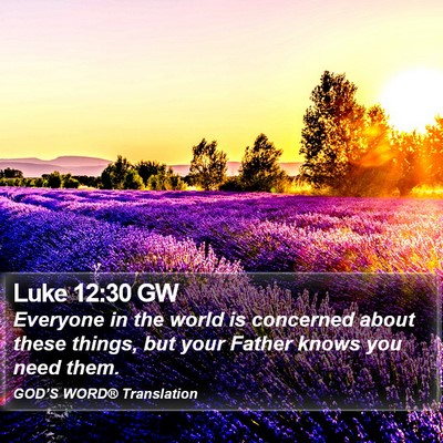 Luke 12:30 GW Bible Verse Image
