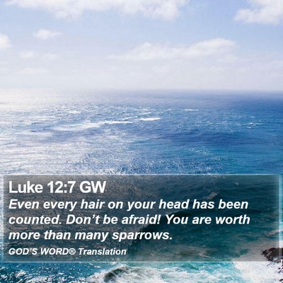 Luke 12:7 GW Bible Verse Image