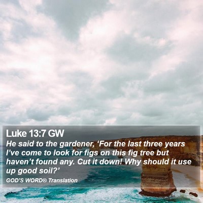 Luke 13:7 GW Bible Verse Image
