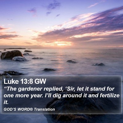 Luke 13:8 GW Bible Verse Image