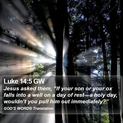 Luke 14:5 GW Bible Verse Image