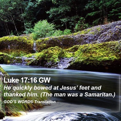 Luke 17:16 GW Bible Verse Image
