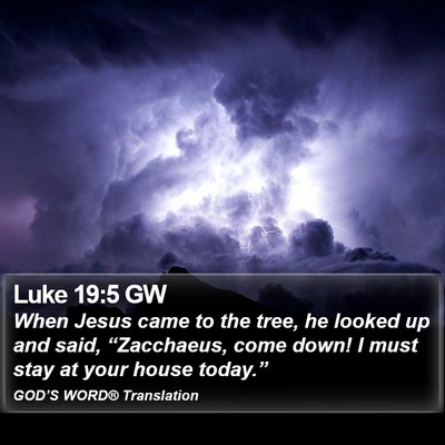 Luke 19:5 GW Bible Verse Image